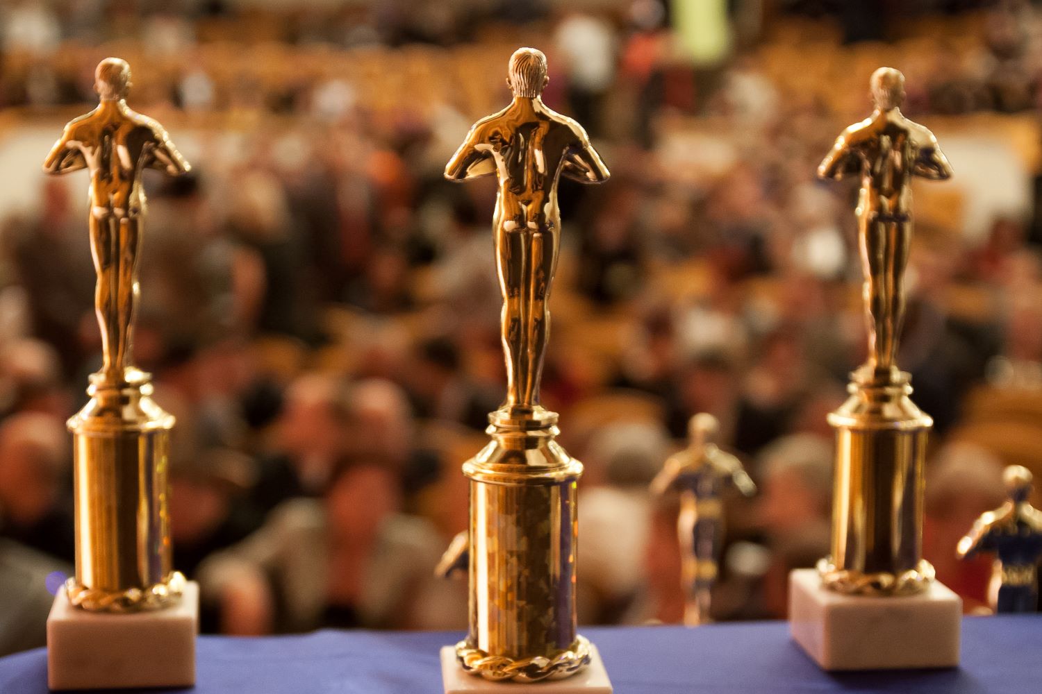 Movie Awards and Festivals